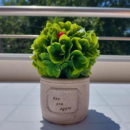 - Pilio By Hara Apartment *